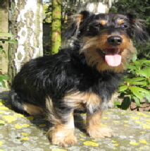 Hotel Duderstadt, Hotels Duderstadt, Hotel Restaurant Duderstadt